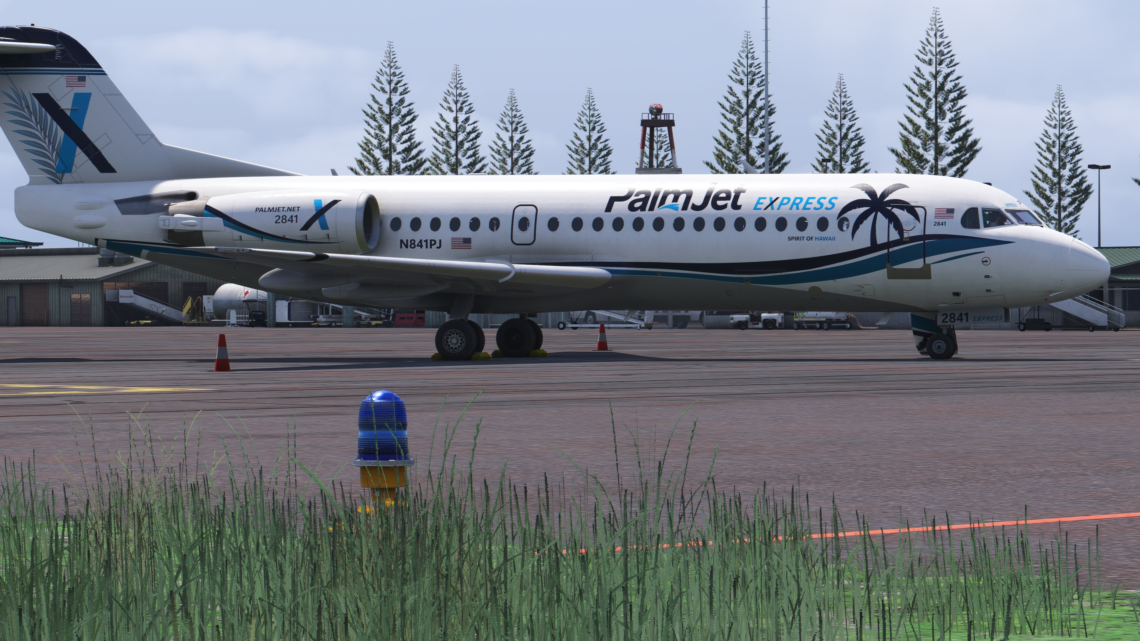 Fokker F70 ("PalmJet Express")