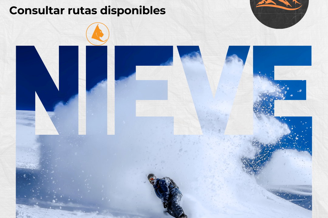 Especial Nieve - Puente de diciembre