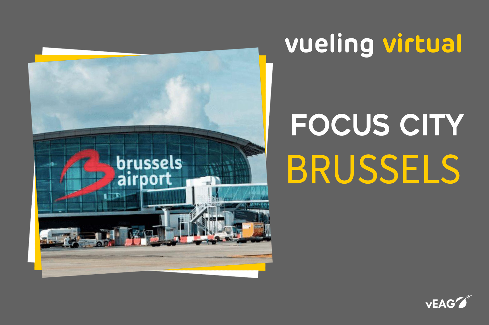 Focus Brussels