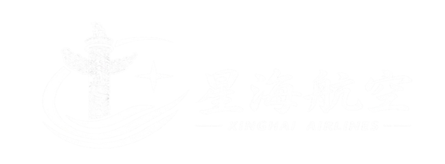 Light logo